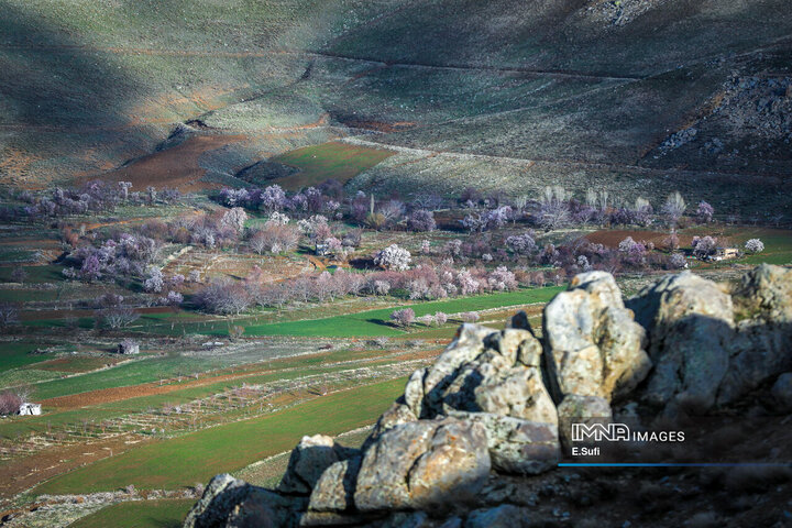 طبیعت بهاری شازند