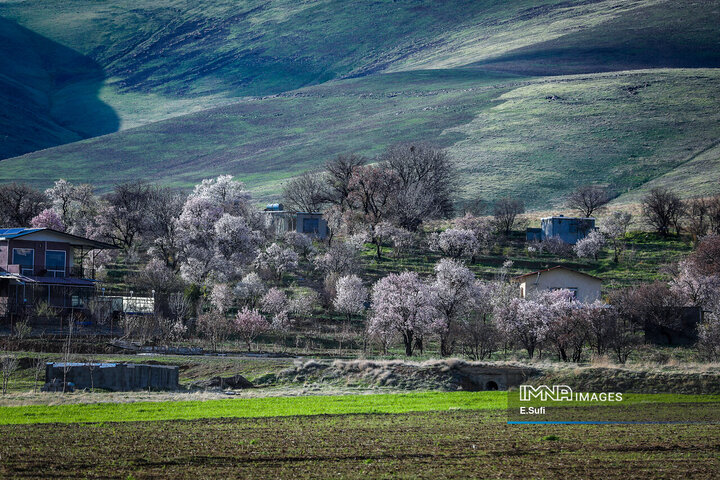 طبیعت بهاری شازند