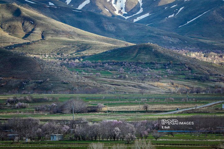طبیعت بهاری شازند