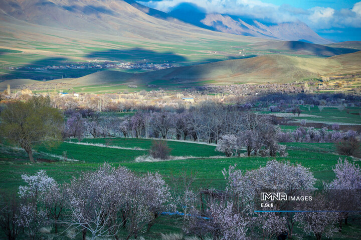 طبیعت بهاری شازند