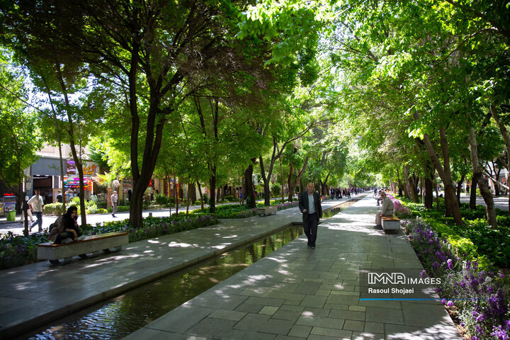 رد پای بهشت در چهارباغ بهاری