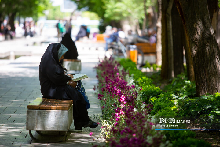 رد پای بهشت در چهارباغ بهاری