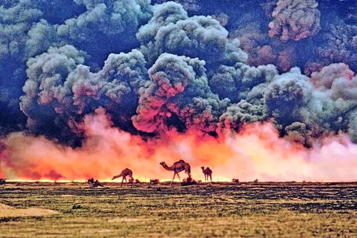 زخمهای پنهان زمین؛ وقتی جنگ، طبیعت را هم هدف میگیرد