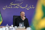 بیش از ۱۵۰ هزار هکتار از اراضی کشاورزی مازندران زیر کشت برنج رفت