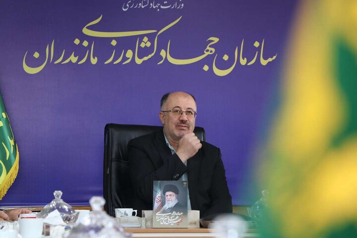 بیش از ۱۵۰ هزار هکتار از اراضی کشاورزی مازندران زیر کشت برنج رفت