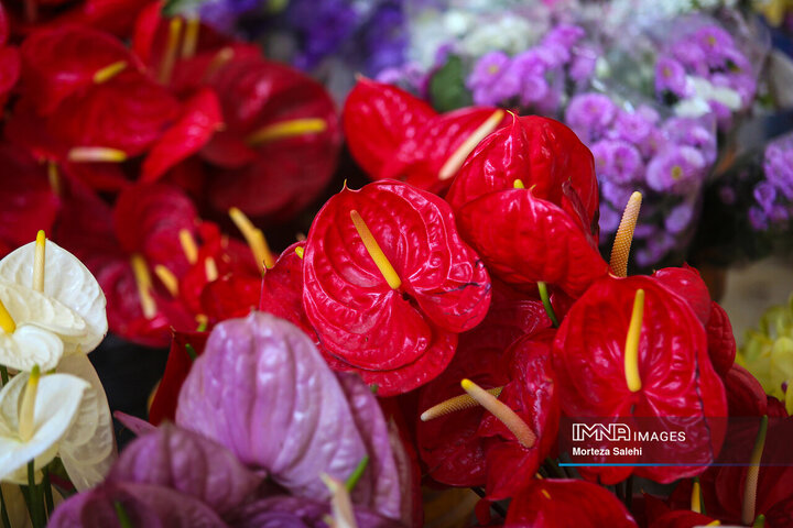 کارگاه آماده‌سازی گل‌آرایی حرم مطهر رضوی