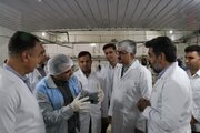کشتارگاه سیمرغ لارستان پس از ۸ سال احیا شد/ اشتغال‌زایی برای ۱۰۰ نفر