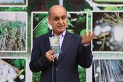 توسعه صنعت تولید کرم ابریشم در گیلان ضرورت دارد