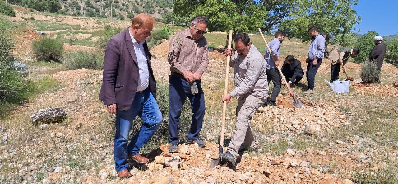 کاشت نهال امید در منطقه گردشگری «سرنجلکُل» بویراحمد +تصاویر