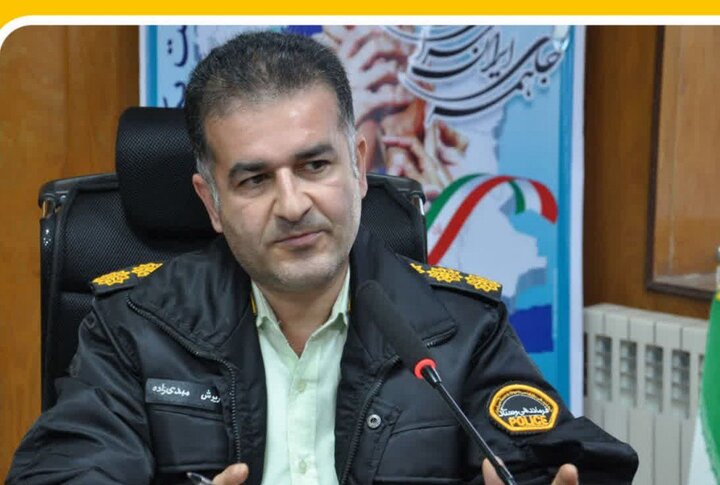 شناسایی باند قاچاق چوب در آمل