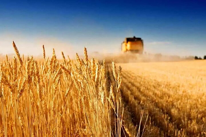 گذر از شیوه‌های سنتی راه‌حل تبدیل کرمانشاه به قطب کشاورزی