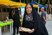 جشنواره فرهنگی «ریحانی‌شو»