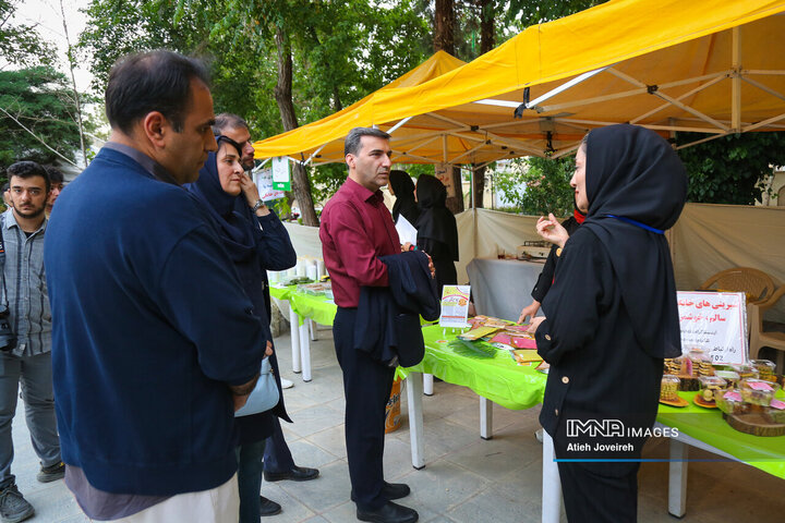 جشنواره فرهنگی «ریحانی‌شو»