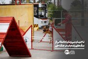 ناجیان بی‌زبان| داستانی از سگ‌های زنده‌یاب در جنگ اخیر
