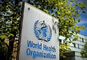 سازمان جهانی بهداشت: خطر "هانتاویروس" برای سلامت عمومی کم است