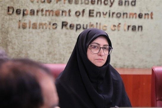 دیپلماسی فعالی در ایام جنگ داشتیم/ پیامدهای جنگ یک امر ملی است نه یک دغدغه تخصصی