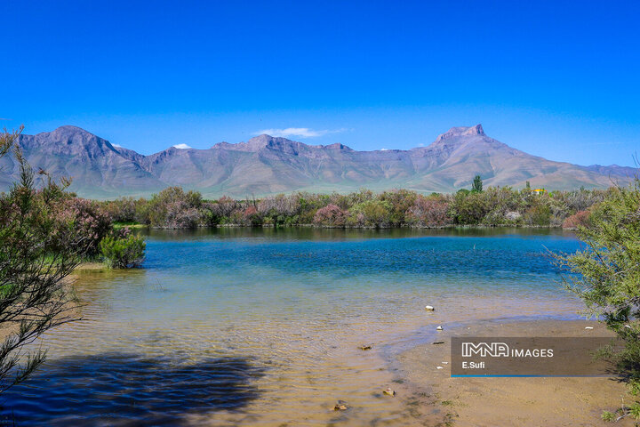 طبیعت بهاری خنداب