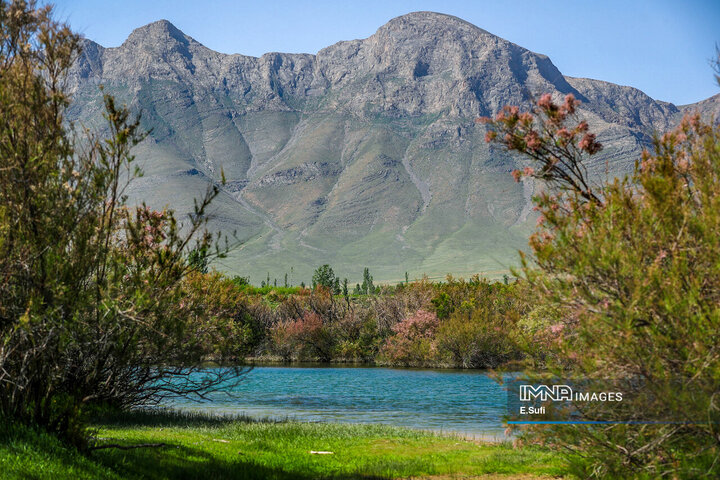 طبیعت بهاری خنداب