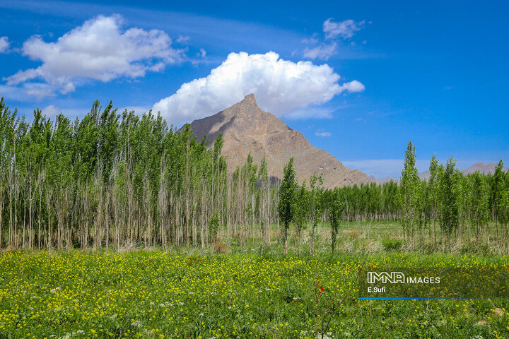 طبیعت بهاری خنداب