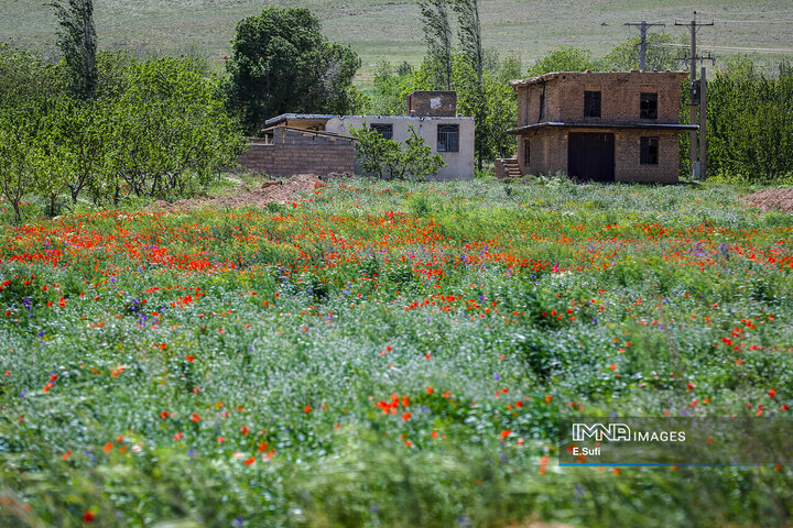 طبیعت بهاری خنداب