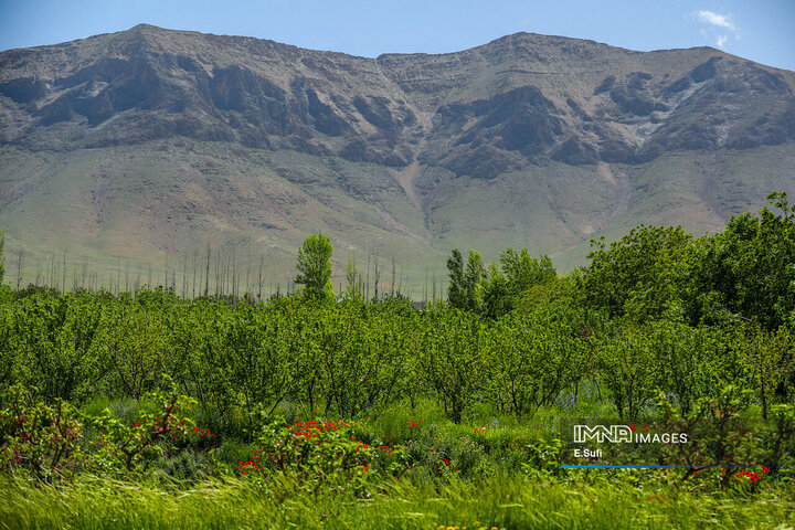 طبیعت بهاری خنداب