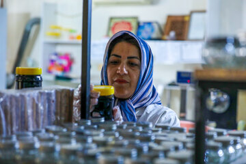 Home-Based Production of Spices and Health-Oriented Food Products