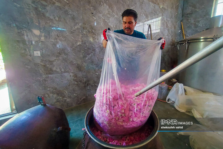 گلاب‌گیری
