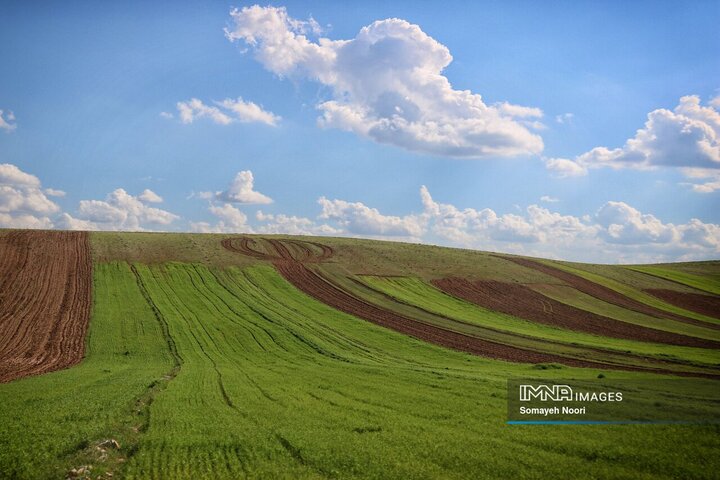 کرمانشاه در آغوشِ بهار
