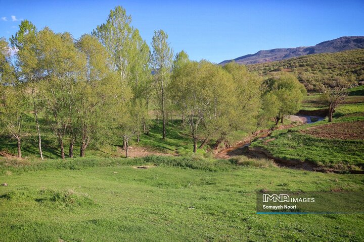 کرمانشاه در آغوشِ بهار