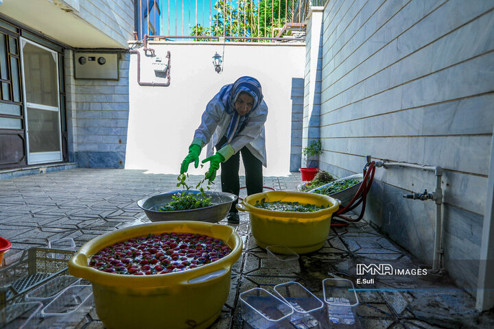 تولید ادویه و محصولات سلامت‌محور در کارگاه خانگی اراک