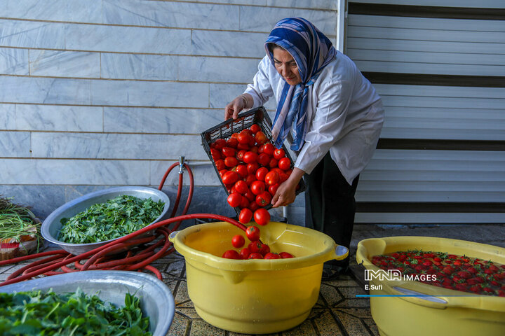 Home-Based Production of Spices and Health-Oriented Food Products
