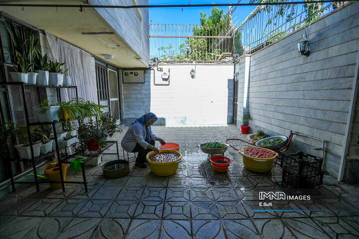 تولید ادویه و محصولات سلامت‌محور در کارگاه خانگی اراک