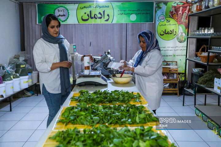 تولید ادویه و محصولات سلامت‌محور در کارگاه خانگی اراک