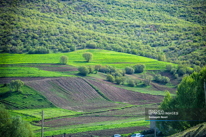 کرمانشاه در آغوشِ بهار