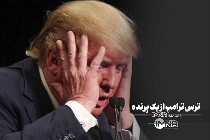 ترس ترامپ از یک پرنده
