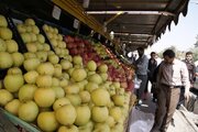 فعالیت بعضی کانکس‌های شهری نیازمند نظارت دقیق است