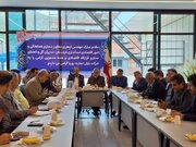 ۵۵ درصد لوازم خانگی کوچک کشور در بانه تولید می‌شود