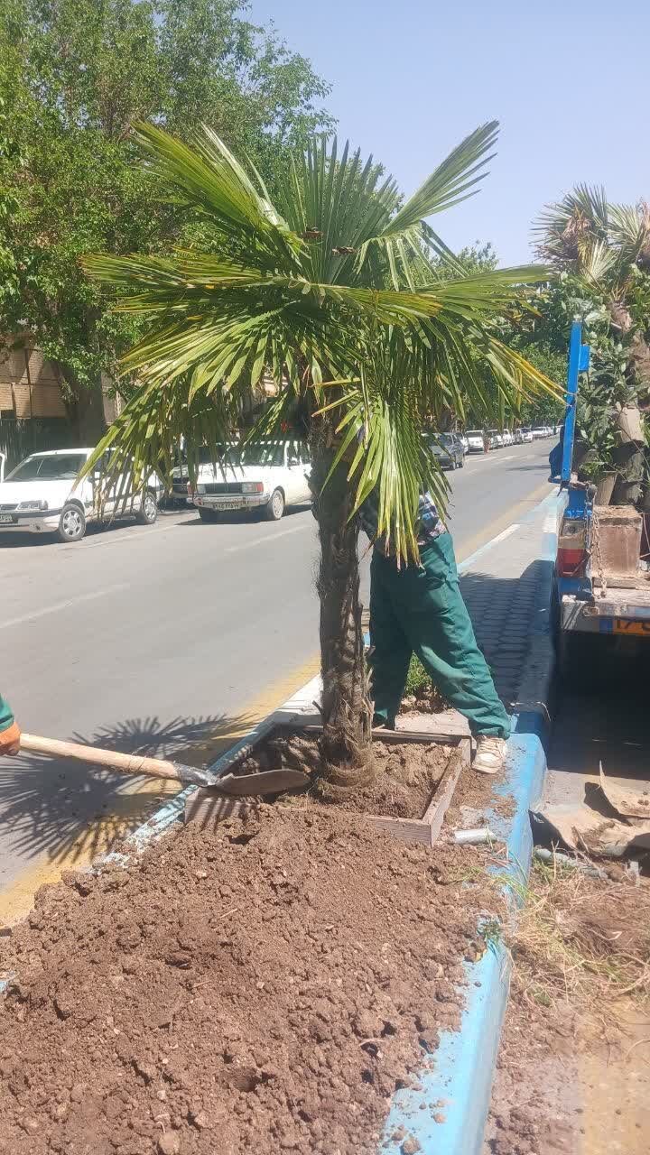 کاشت ۳۵۰۰ اصله درخت و درختچه در منطقه یک اصفهان