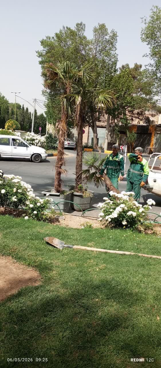 کاشت ۳۵۰۰ اصله درخت و درختچه در منطقه یک اصفهان