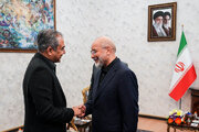 دیدار وزیر کشور پاکستان و رئیس مجلس شورای اسلامی
