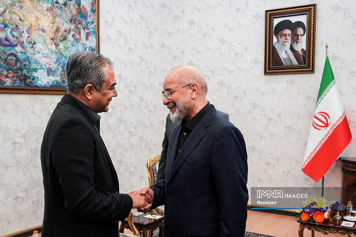 دیدار وزیر کشور پاکستان و رئیس مجلس شورای اسلامی