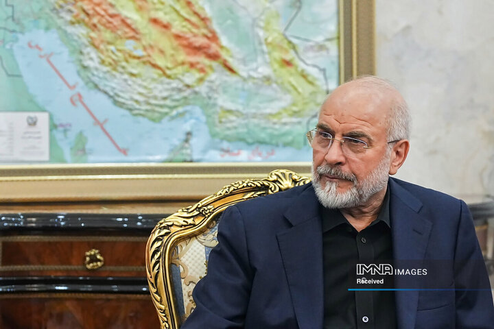دیدار وزیر کشور پاکستان و رئیس مجلس شورای اسلامی