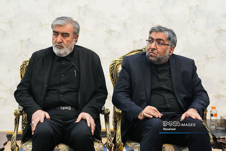 دیدار وزیر کشور پاکستان و رئیس مجلس شورای اسلامی
