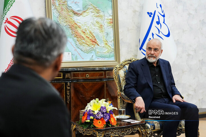 دیدار وزیر کشور پاکستان و رئیس مجلس شورای اسلامی