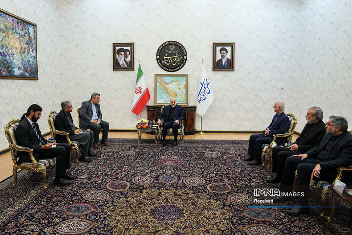دیدار وزیر کشور پاکستان و رئیس مجلس شورای اسلامی