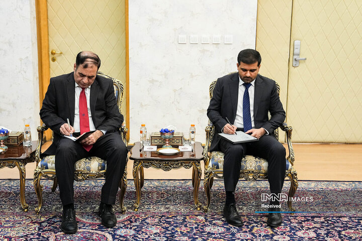 دیدار وزیر کشور پاکستان و رئیس مجلس شورای اسلامی
