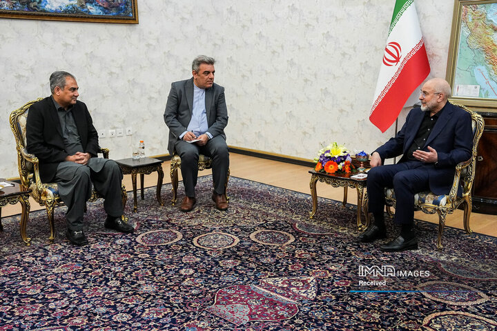 دیدار وزیر کشور پاکستان و رئیس مجلس شورای اسلامی