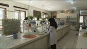 کیفیت آب کرمانشاه مطابق با استاندارد جهانی است