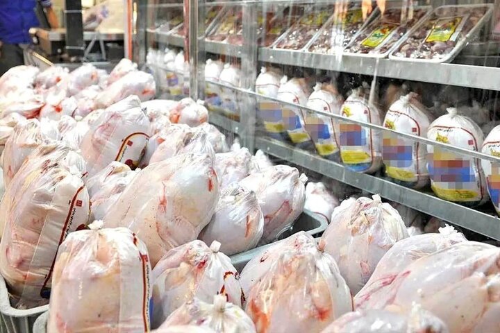 کشف و ضبط ۹۰۰ تُن مرغ منجمد احتکار شده در شیراز