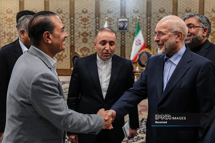 دیدار فرمانده ارتش پاکستان با رئیس مجلس شورای اسلامی